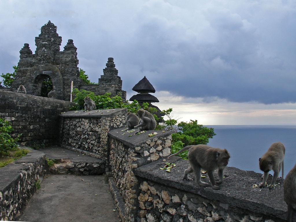 Bali Green Hills Pecatu Exteriör bild